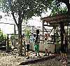 Photo_2