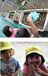 Photo_2