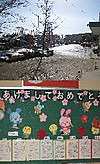 Photo_2
