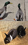 Blog_3