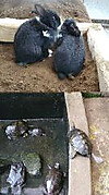 Photo_2