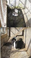 Photo_2
