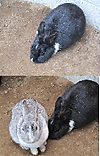 Photo_2
